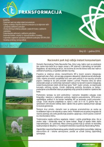 newsletter-2-page-001