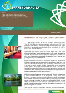 Newsletter 7-page-001