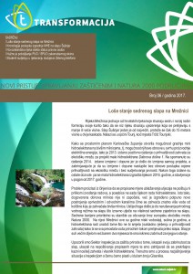 Newsletter6-page-001